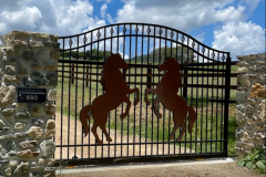 Suncoast-Fencing-Driveway-Gates-09